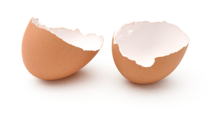 membrane d’œuf Ovomet®